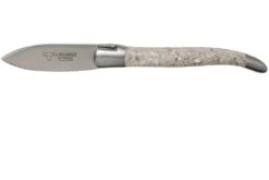 Laguiole En Aubrac Oyster C2I99CQHI Couteau à Huîtres Coquille D'huître
