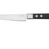 Maserin TEGI 2500-12PN Couteau à Steak Noir, 12 Cm