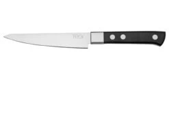 Maserin TEGI 2500-12PN Couteau à Steak Noir, 12 Cm