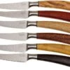 Saladini Ensemble 6 Pièces Couteaux à Steak 23 Cm, Ensemble Cadeau