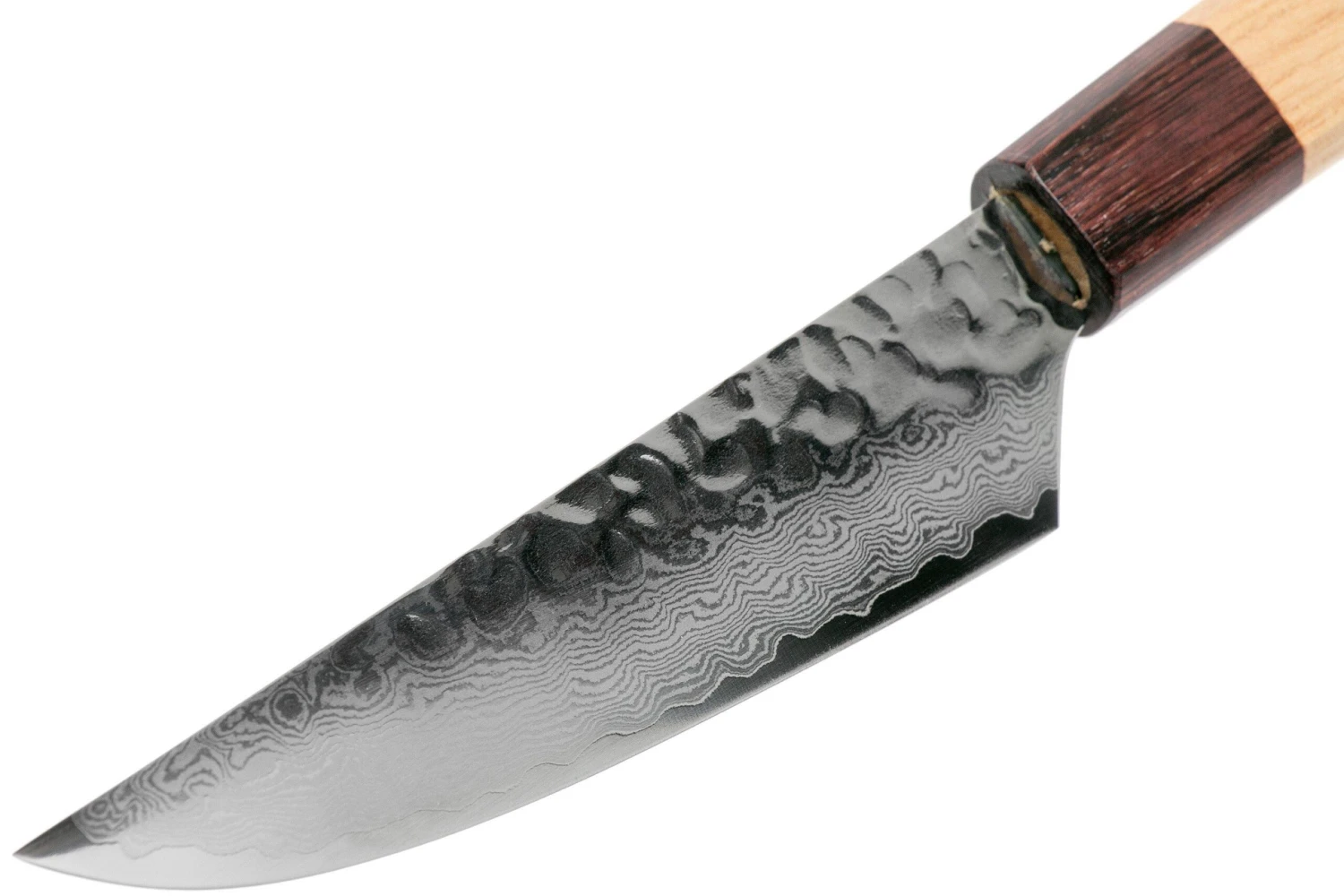 Sakai Takayuki 33-Layer Damascus Hammered WA Petty Couteau à Steak 13 Cm – Image 3
