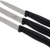 Victorinox SwissClassic Couteaux à Légumes Noir, Set De 3, 6.7113.3