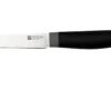 Zwilling Now S 1009646 Couteau à Légumes, 9 Cm